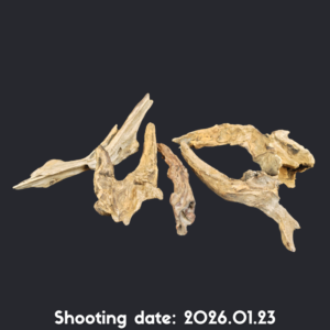 流木 30-40 5本セット RY001