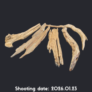 流木 30-40 5本セット RY002