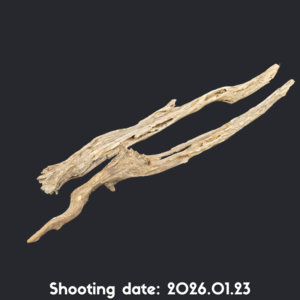 流木 70-80 2本セット RY004