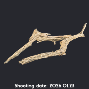 流木 70-80 2本セット RY006