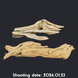 流木 35-40 2本セット RY007