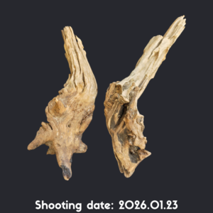 流木 35-40 2本セット RY008